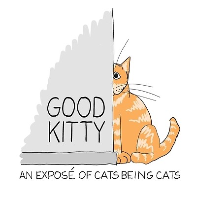 Good Kitty An illustrated expose of cat Toby Cowan Paperback
