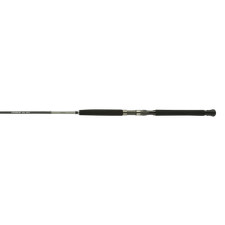 Shimano TEREZ BW BFC SPIN, Offshore, 70, Medi...