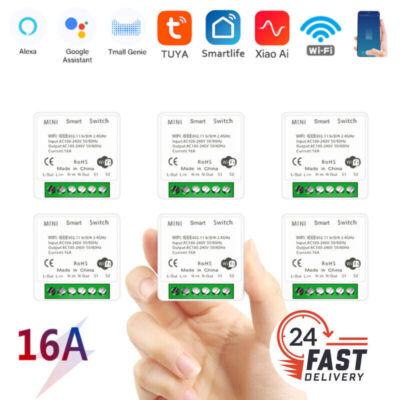 Tuya MINI Wifi Smart Switch 16A Timer Wireless Switches  for Alexa Google Home