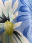 Bild 11 von 11