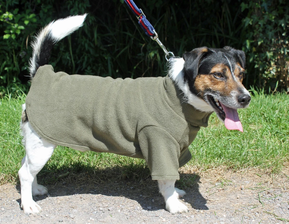 Dog coats best sale ebay