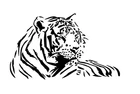 tiger 30x50cm car sticker, decal, window oracal 651