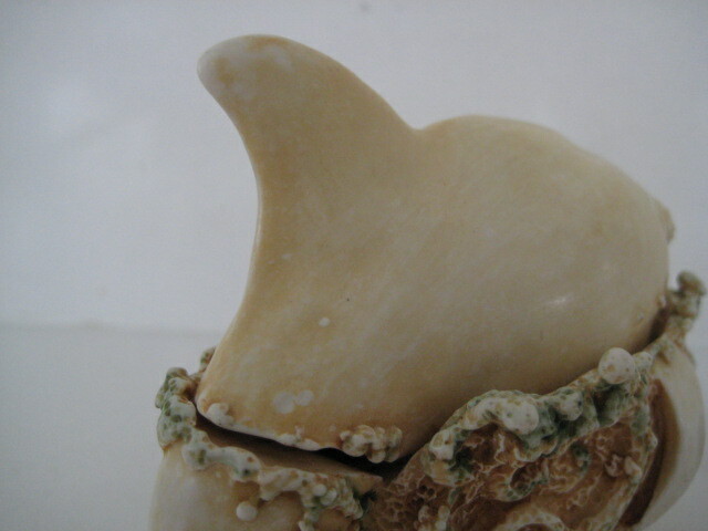 Photo 7/9