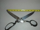Foto 12 di 12