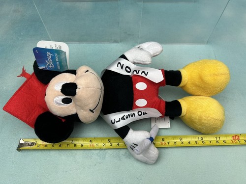 Disney Graduation Class of 2022 Sash Mickey Mouse Plush Cap Gown Diploma - Picture 3 of 12