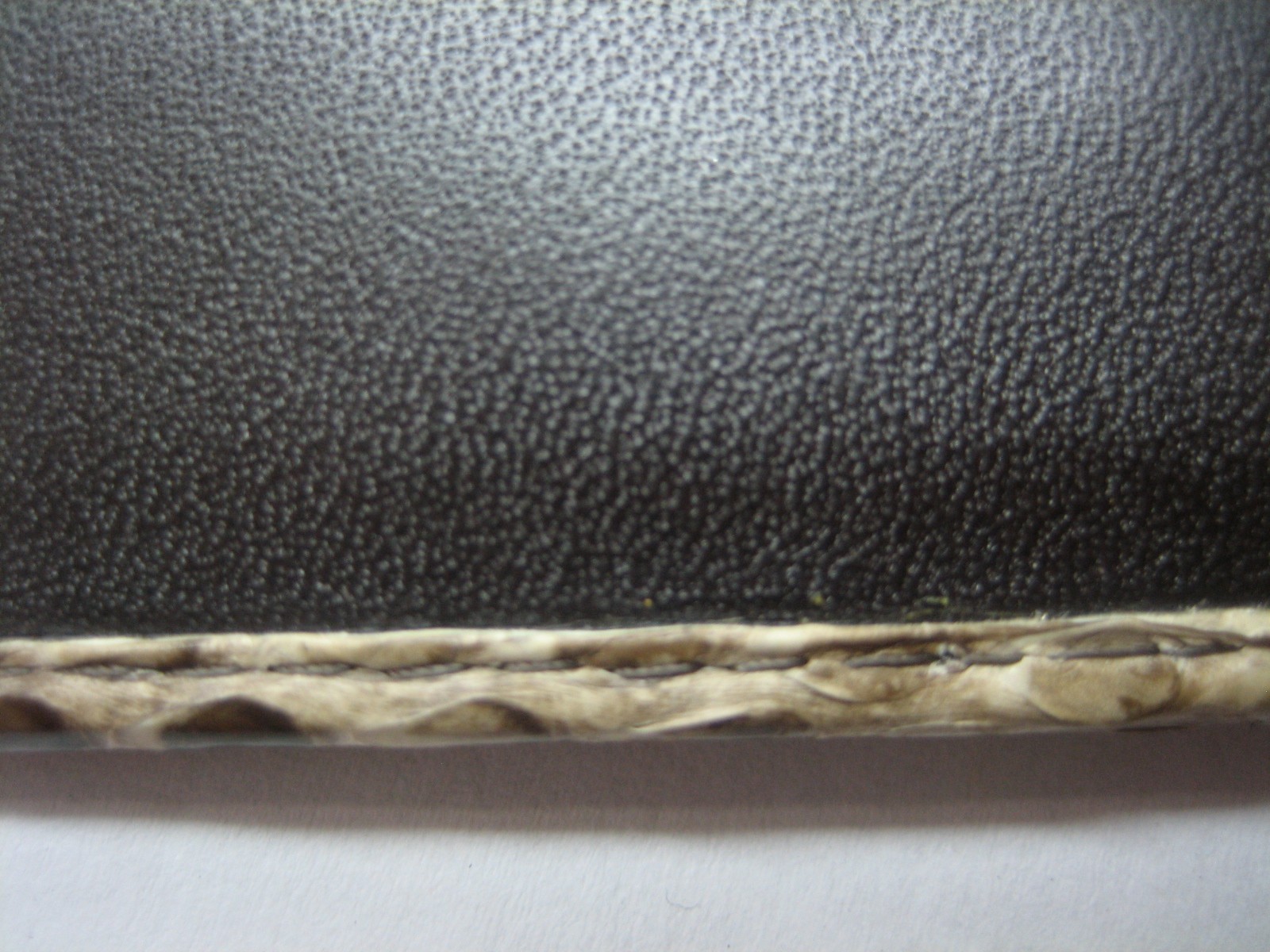 Picture 9 of 9