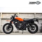 Foto 12 di 12