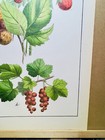 Bild 5 von 8