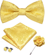 Paisley Pre-tied Bow Tie and Pocket Square Cufflinks Lapel Pin Sets for Men 4PCS