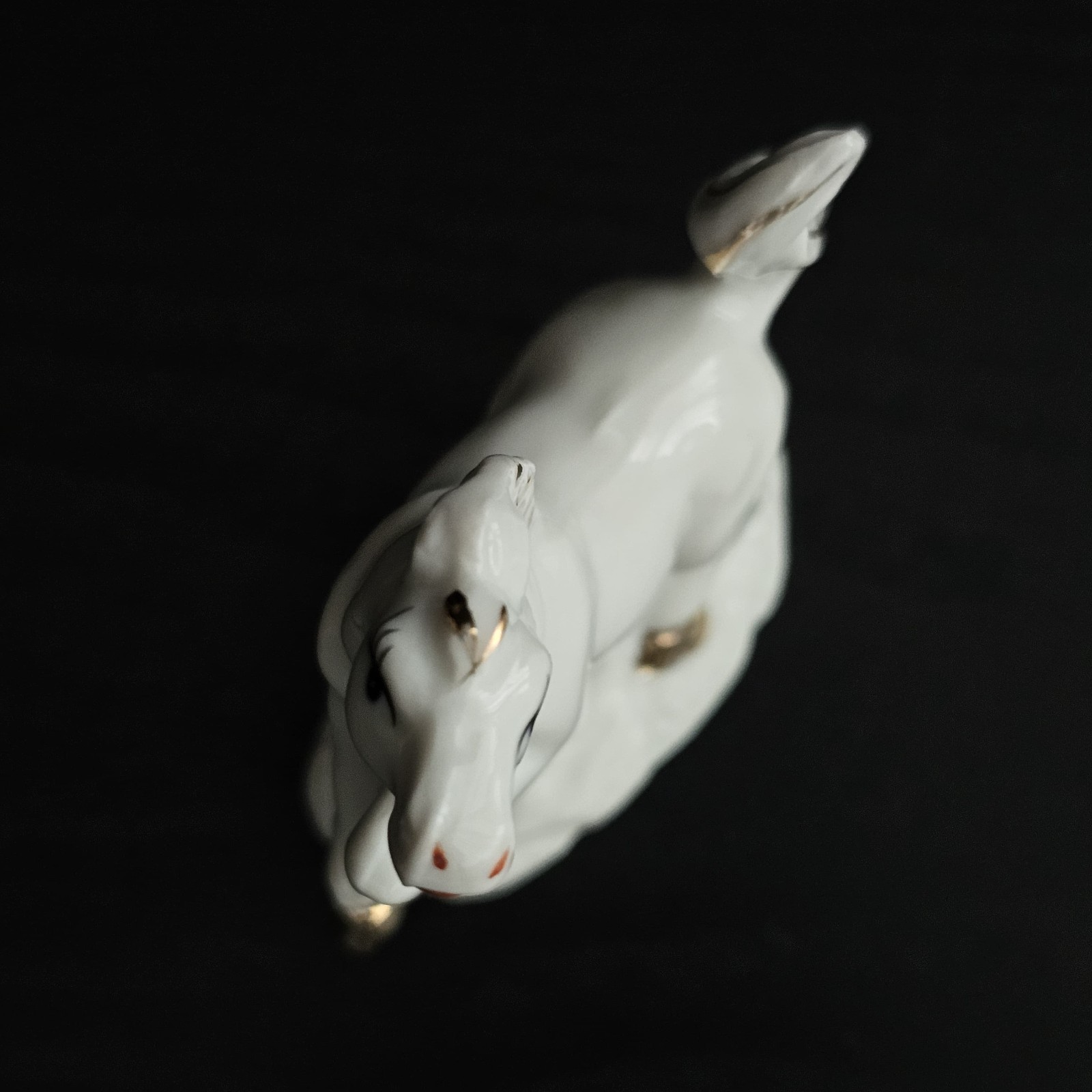 Picture 5 of 5