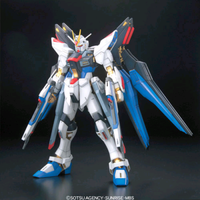 Gundam - 1/100 Strike Freedom Master Grade Model Kit Mg Bandai