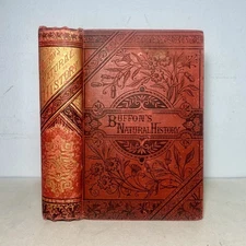 1800s Buffon's Natural History - Quadrupeds, Antique Victorian Hardcover Book