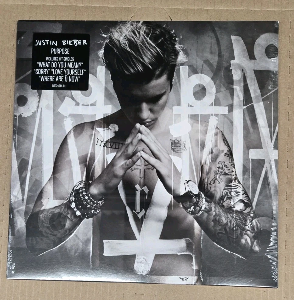 Las mejores ofertas en Discos de vinilo de Justin Bieber | eBay