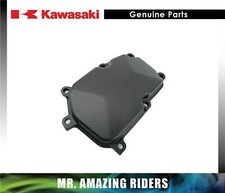 専用1 TRIC STAR zx4r マフラー TRICK STAR スリップオンマフラー IKAZUCHI