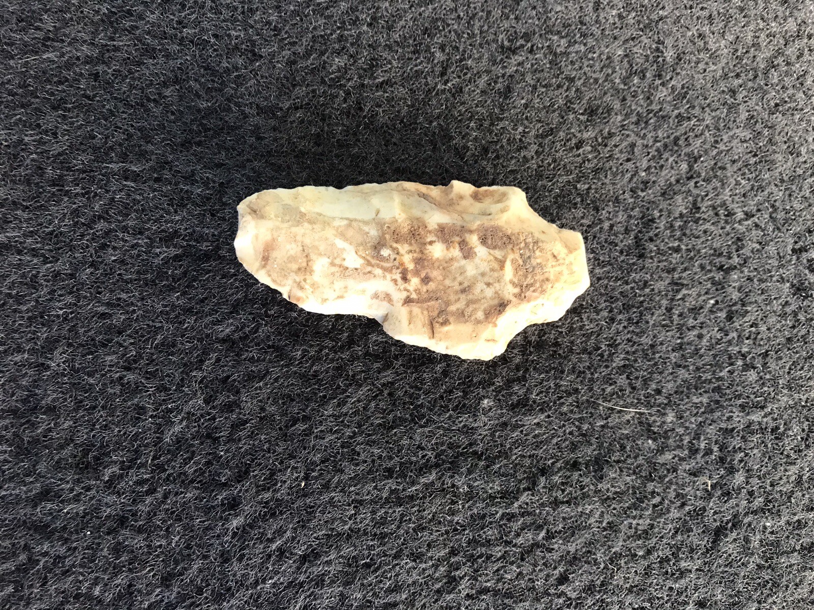 Picture 16 of 24