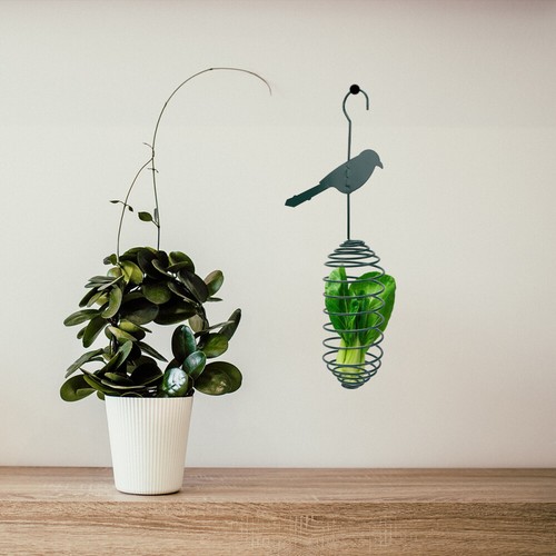 Metal boutiques Bird Feeder Birds Feeding Trays Birds Feeding Bowls Bird Feeding Container