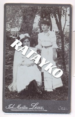 Women CDV Photo. J. Martin Lenz Studio, Cilli, Celje, Slovenia Austria-Hungary.