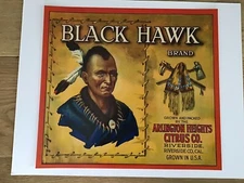 Original vintage Black Hawk citrus crate label 1930s Riverside California