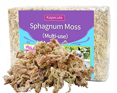 Sphagnum Moss 34qt For Plant Propagation Great Orchid Potting Mix Help With Main