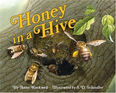 Honey in a Hive Hardcover Anne Rockwell