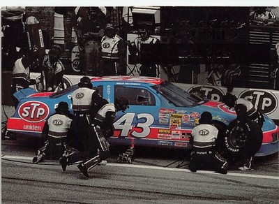 1994 Finish Line Gold Car #43 STP Pontiac #20
