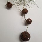 Picture 6 of 10