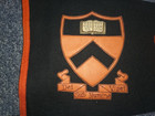 Vintage Princeton University Wool Felt Leather Pyrography Pennant VGC 11" by 29" — photo 4