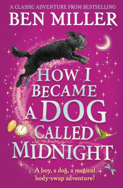How I Became a Dog Called Midnight by Ben Miller (Paperback Book)