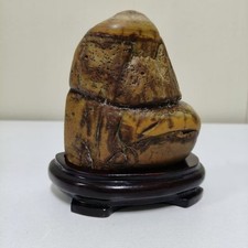 Bonsai Suiseki Dawan Stone-Cute Snail ! Lovely Shape Rock,Nice View Display 4#