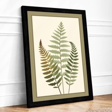 Study in Ferns Botanical Framed Wall Art Large Canvas Print Home Decor Picture