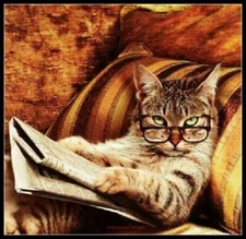 Cat Reading - DIY Chart Counted Cross Stitch Patterns Needlework 14 ct Aida DMC