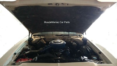 72 Torino Exterior Trim Clips – Ford Genuine D2OZ-6521066-A Plastic Retainers