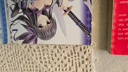 Magika Swordsman und Summoner Band 1-11 Manga - Bild 17 von 24