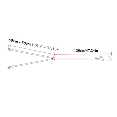 2 in 1 2 Way Dog Leash Nylon Lead Rope Pad Handle Training Walking Harness  - Bild 2 von 34