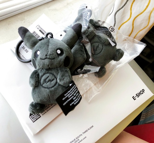 pokemon plush project