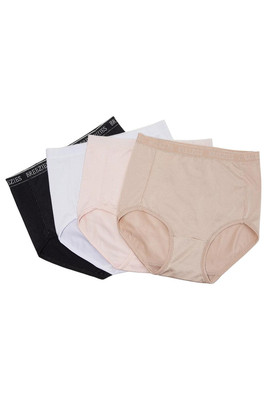 Breezies Women's 4-Pack Nylon Microfiber Full Brief Panty Basic