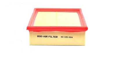 Luftfilter Transit Bus Transit Kasten Transit Pritsche/Fahrgestell BK31 9601 BA