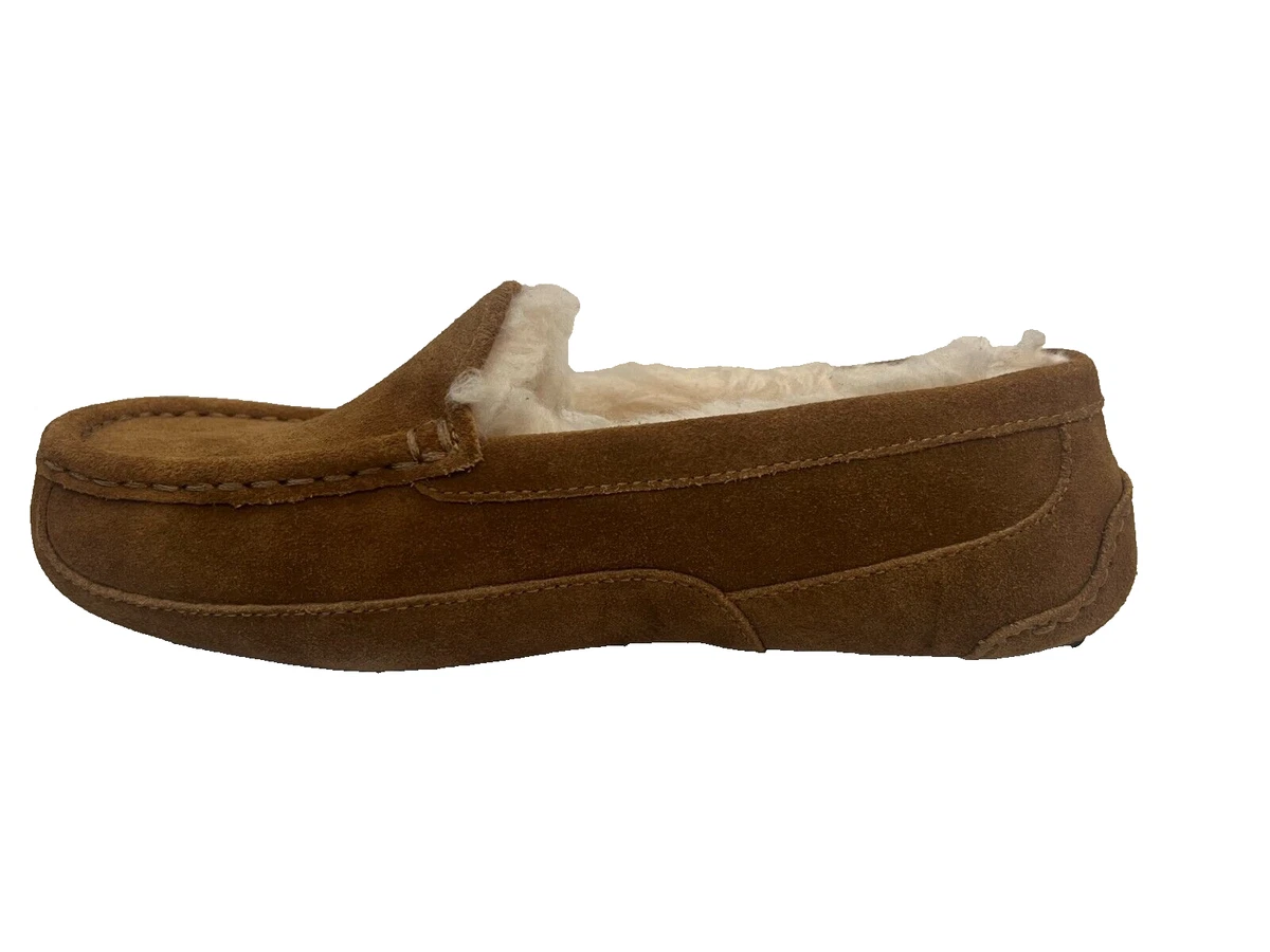 Ugg ascot suede new arrivals
