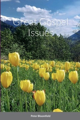 Great Gospel Issues by Bloomfield, Peter