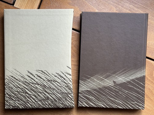 Rogue Male. Geoffrey Household. Folio Society. 2013 - Imagen 8 de 9