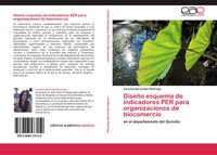 Carolina BermúDez Restrepo | DiseñO Esquema De Indicadores Per Para...