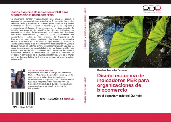 Carolina BermúDez Restrepo | DiseñO Esquema De Indicadores Per Para...-image