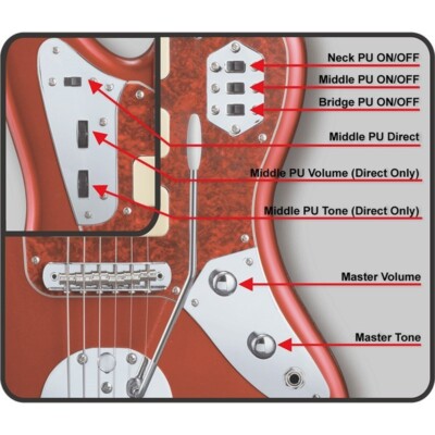 Edwards Platinum E-Jg Sgz Custom Jgm Black Sugizo Signature Model