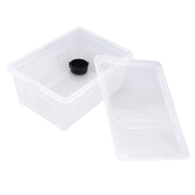  Critter Keeper White Reptile Box Scorpion Breeding Container