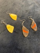 real butterfly wing earrings