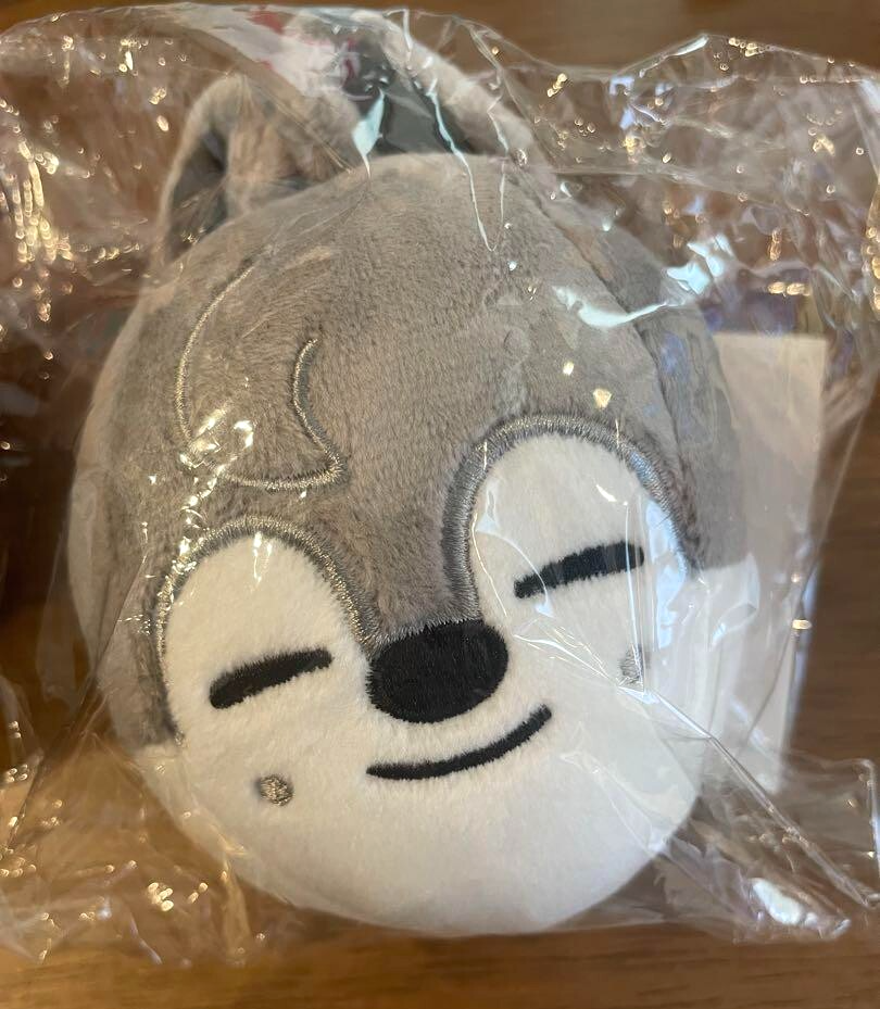 Stray Kids Skzoo Bag Charm 8 Types Set 5-STAR Dome Tour 2023
