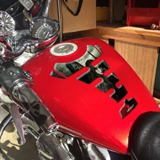 Tank Pad Fuel Tank Sticker Guard Fish Bone Fit For Kawasaki ZX10 R ZX-10R