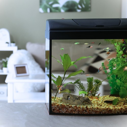 Ceramic Tree Bark Hiding Shelter Home Hide Pleco Shrimp Catfish Breeding Moss - Picture 2 of 3
