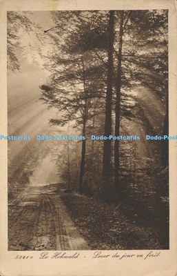 R014795 Le Hohwald Lever du Jour en Foret 1932 B Hopkins