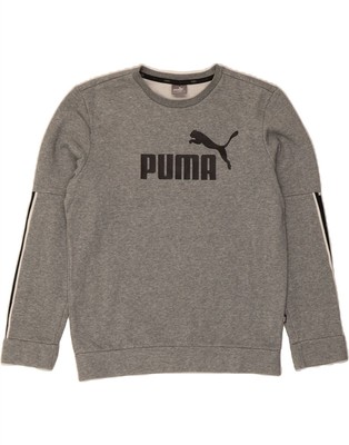 Puma Herren Graphic Sweatshirt Pullover Small Grau Colourblock Baumwolle CQ64